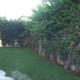 A louer rez de chaussée avec jardin à La Marsa