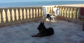 A vendre villa haut standing pieds dans l’eau