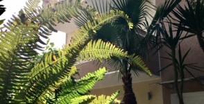 A vendre 4 appartements S+2 sur 4 niveaux