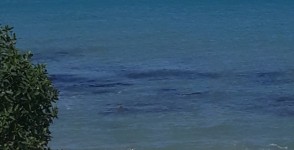 A louer Villa S+3 pied dans l’eau
