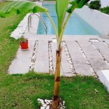 A louer une villa de charme neuve