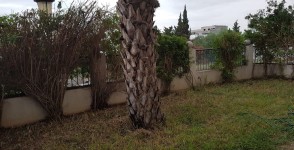 A louer très bel appartement s+3